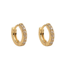 Load image into Gallery viewer, Lenny Mini Earrings (1 pc)